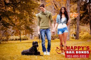 Can You Post Bail for a Loved One?