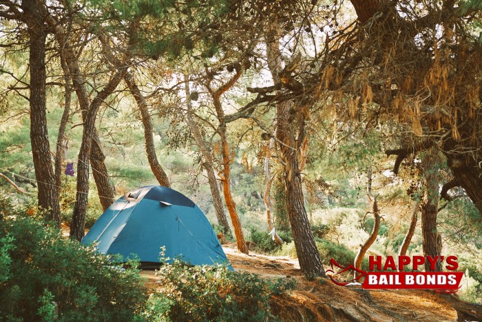 Tips for Staying Safe While Camping