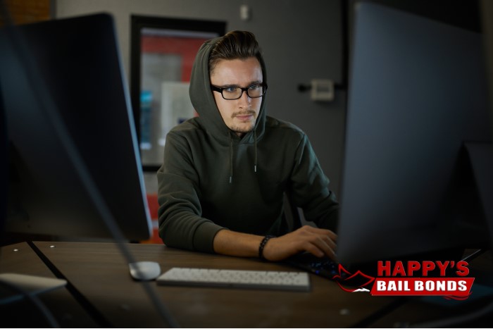 California Bail Bonds for Cyber Crimes